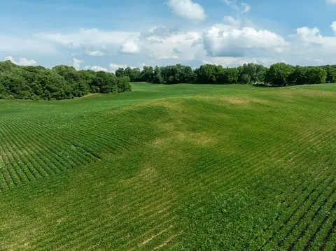 Hopkins Land: Buildable, Huntable Acreage