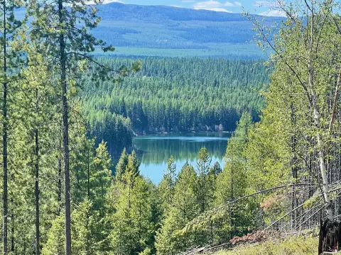 Wooded Hunting Land with Cabin