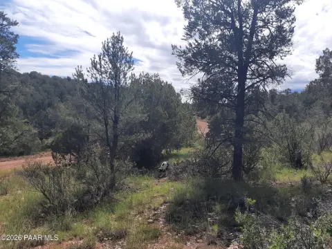 Off-Grid Land with Varied Terrain