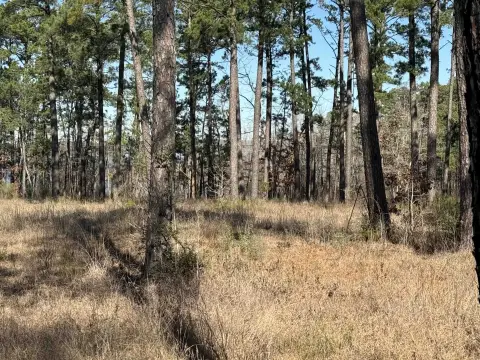 Lake Sam Rayburn Waterfront Land