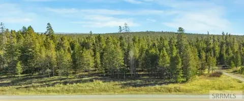 Pine-Covered Land with River Access