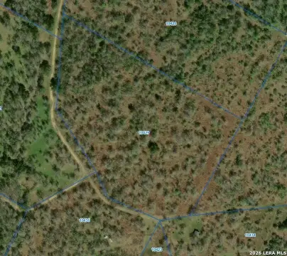 Rural Deer Hunting Land