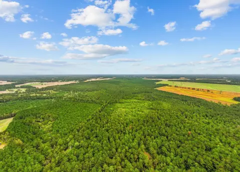 200+ Acreage in Loris, SC