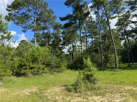 Waterfront Wooded Lot with Boat House