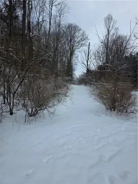 5.95 Acres of Wooded Land