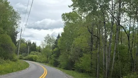 81.8 Acres Wooded Land