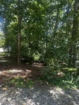 Wooded Lot Near Golf Course