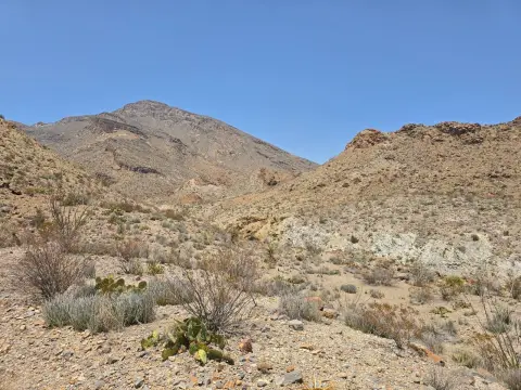 Vacant Land in Terlingua, TX