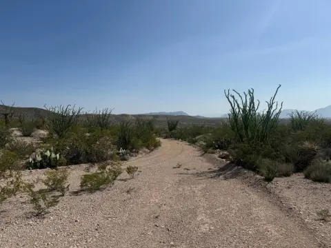 Terlingua Ranch Vacant Land
