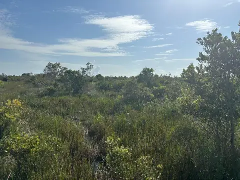 Okeechobee Land Near State Park