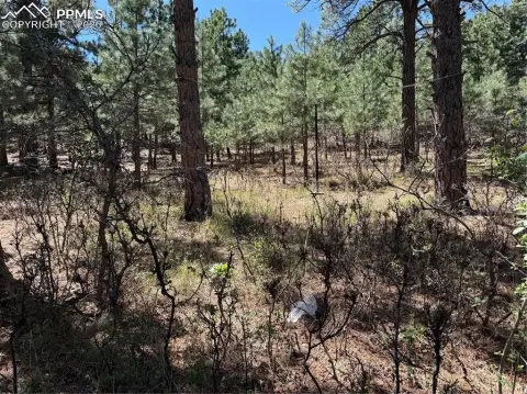 Cheyenne Mountain Land Opportunity