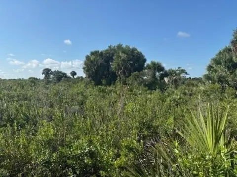 Okeechobee Land For Sale