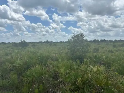 Okeechobee Land Near State Park