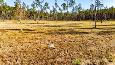 Moscow, TX Acreage For Sale