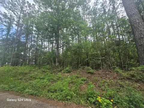 Wooded Acreage in Newton, Texas