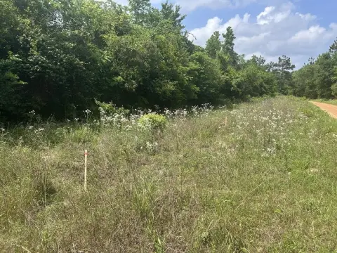 Garrison, TX Wooded Land Parcel