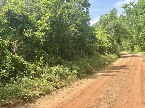 Garrison, TX Wooded Acreage