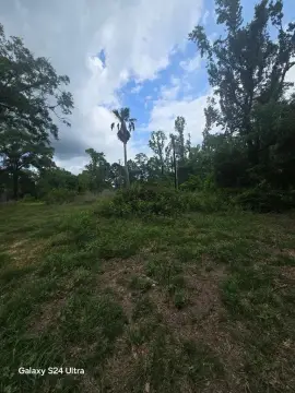 Residential Land in Deweyville, TX