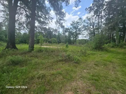 Deweyville Acreage Ready For Development