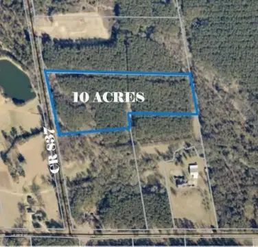Nacogdoches Land with Pine Trees