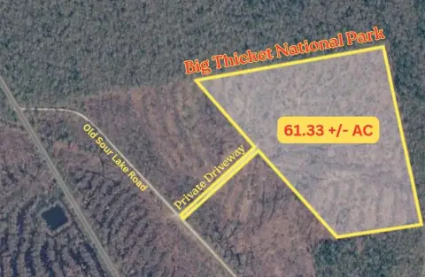 Sour Lake Ranch Land