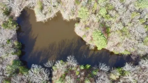 Northeast Texas Timberland with Pond