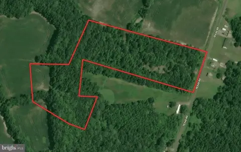 Wooded Hunting and Recreation Land