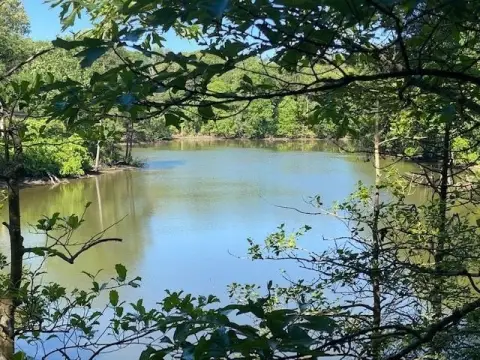 Waterfront Acreage in Lancaster, Virginia