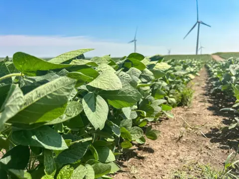 Agricultural Land with Wind Lease
