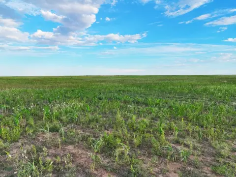 Tillable Agricultural Land