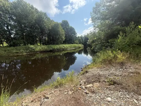 Waterfront Land with Woodlands