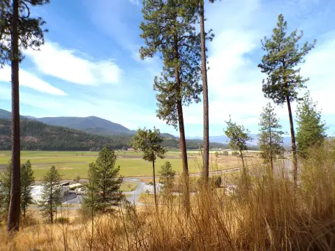 Colville Acreage with Development Potential