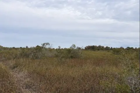 Okeechobee Land For Sale