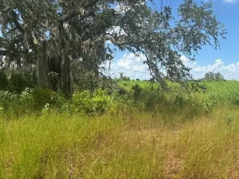 Okeechobee Land For Sale