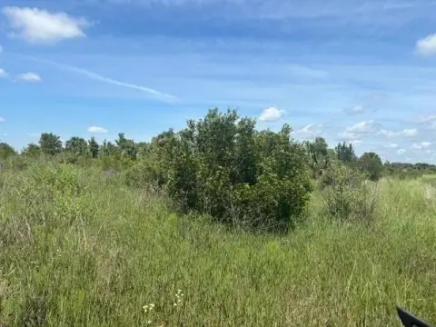 Okeechobee Land Near State Park
