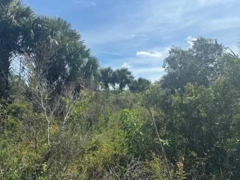Okeechobee Land For Sale