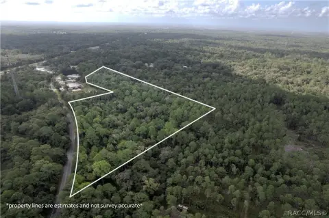 Wooded Recreational Land