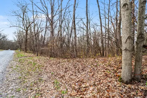 Wooded Land in Cedar Springs