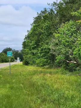 38.52 Acres Wooded Tract