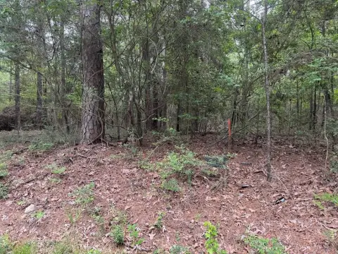 Brookeland Land Near Lake