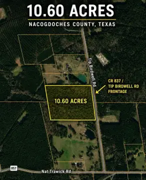 Nacogdoches Wooded Acreage For Sale