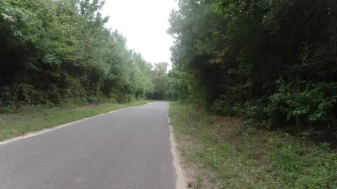 38.65 Acres on Blacktop Road