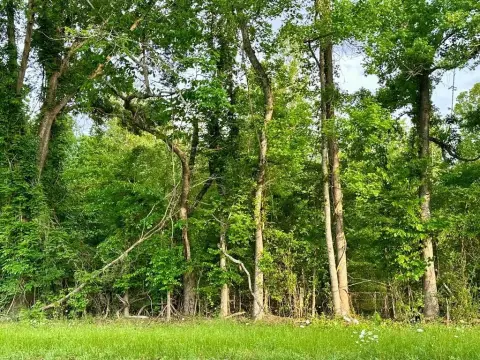 Wooded Acreage in Central ISD
