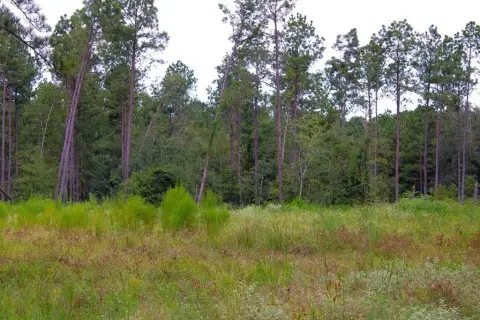 Unrestricted 48-Acre Hudson Land