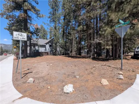 Treed Corner Parcel Near Resort