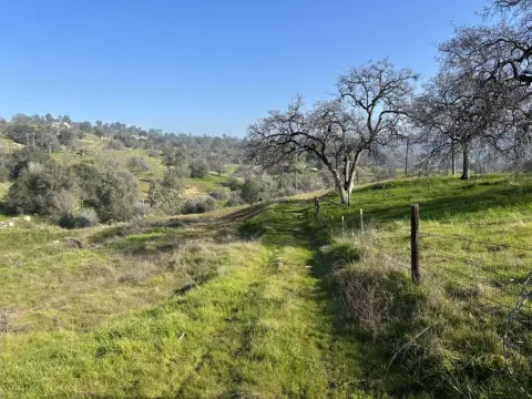 Rolling Agricultural Land