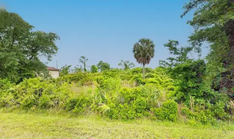 Residential Land in Port Charlotte