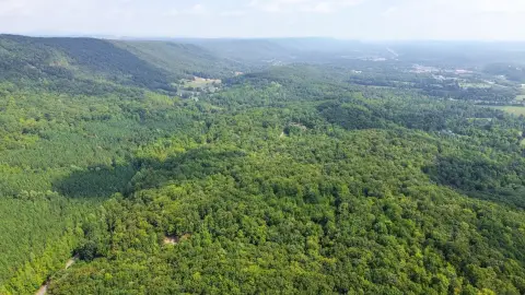 Wooded Land Tract