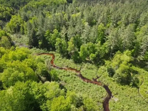 Approved Cabin Homesite Waterfront Land