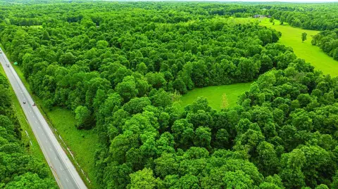 Recreational Land Tract with Trails